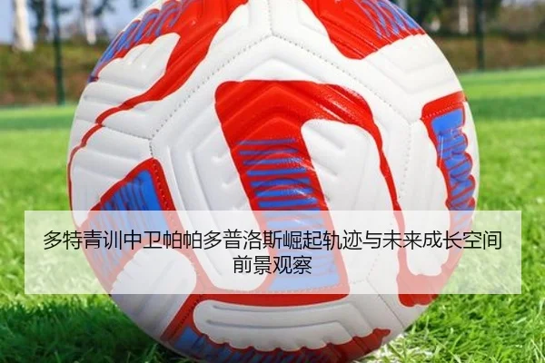 多特青训中卫帕帕多普洛斯崛起轨迹与未来成长空间前景观察